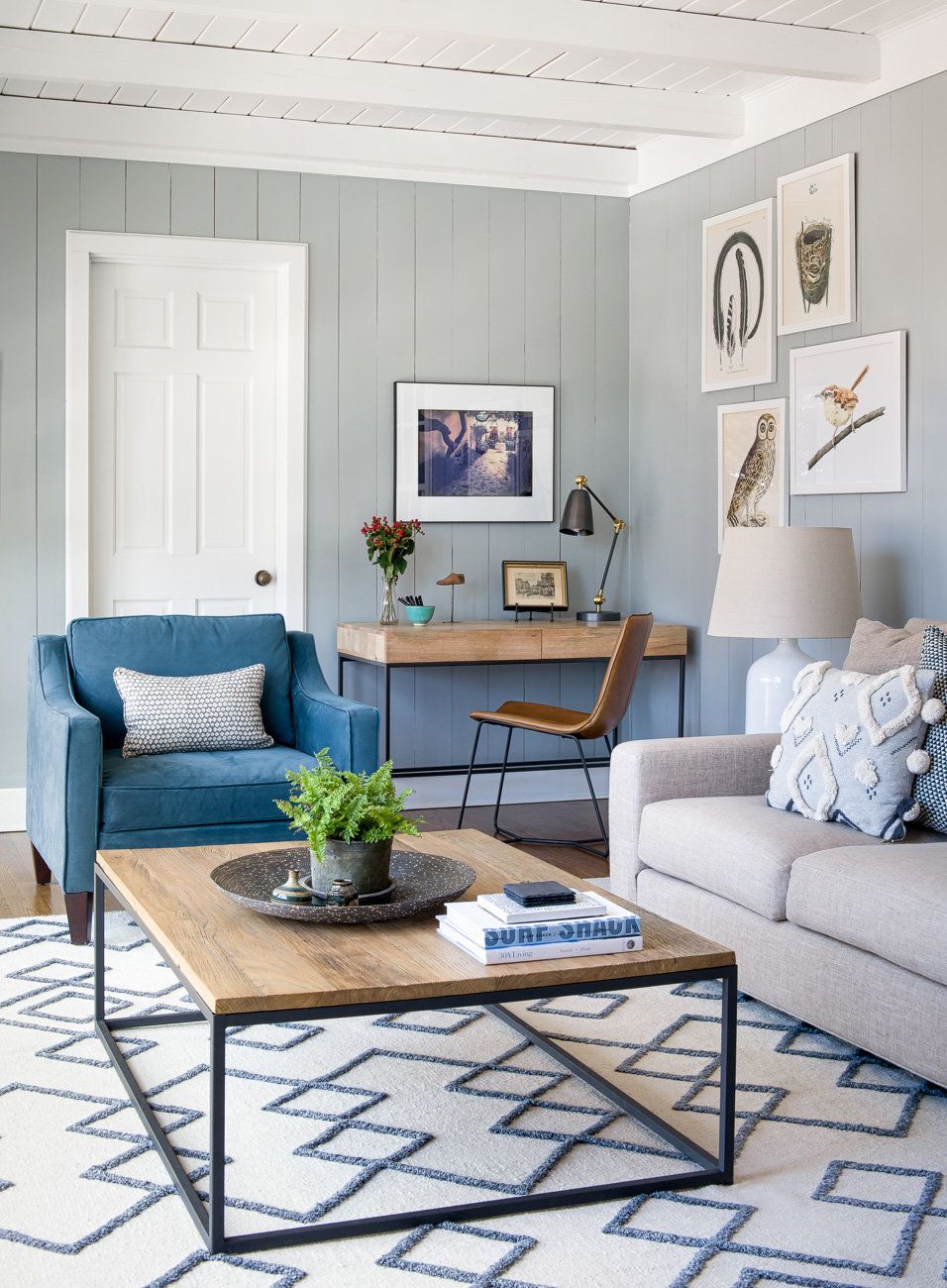 Inspiring design ideas for a blue sofa
  living room
