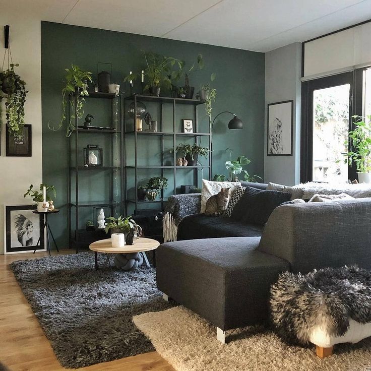 1698465622_Modern-Futon-Couch.jpg