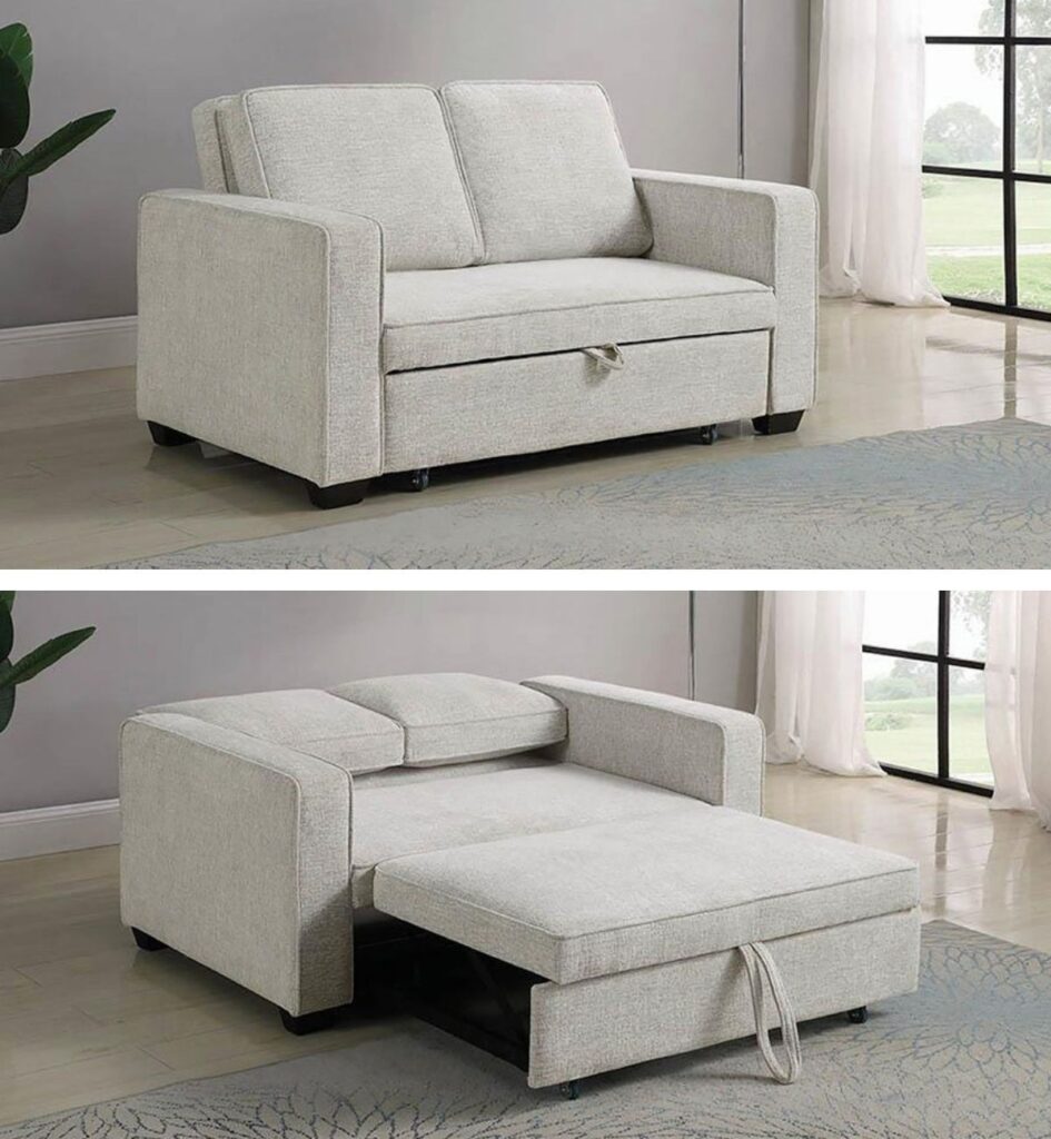 1698467603_Sleeper-Sofa-Loveseat.jpg