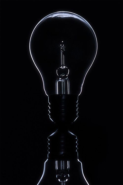 Best Black Light Bulbs Ideas
