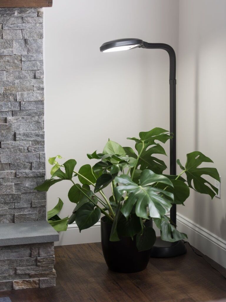 1698475919_Plant-Light-Bulbs-Ideas.jpg