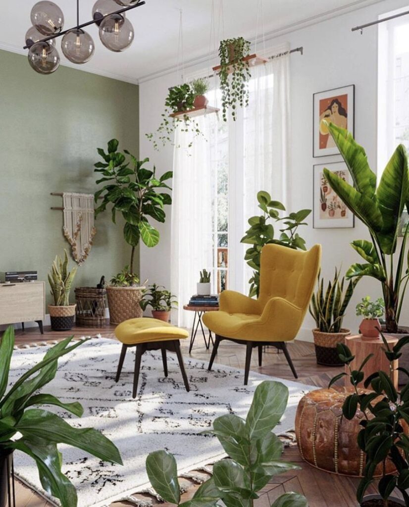 1698478188_Yellow-Living-Room-Chairs.jpg