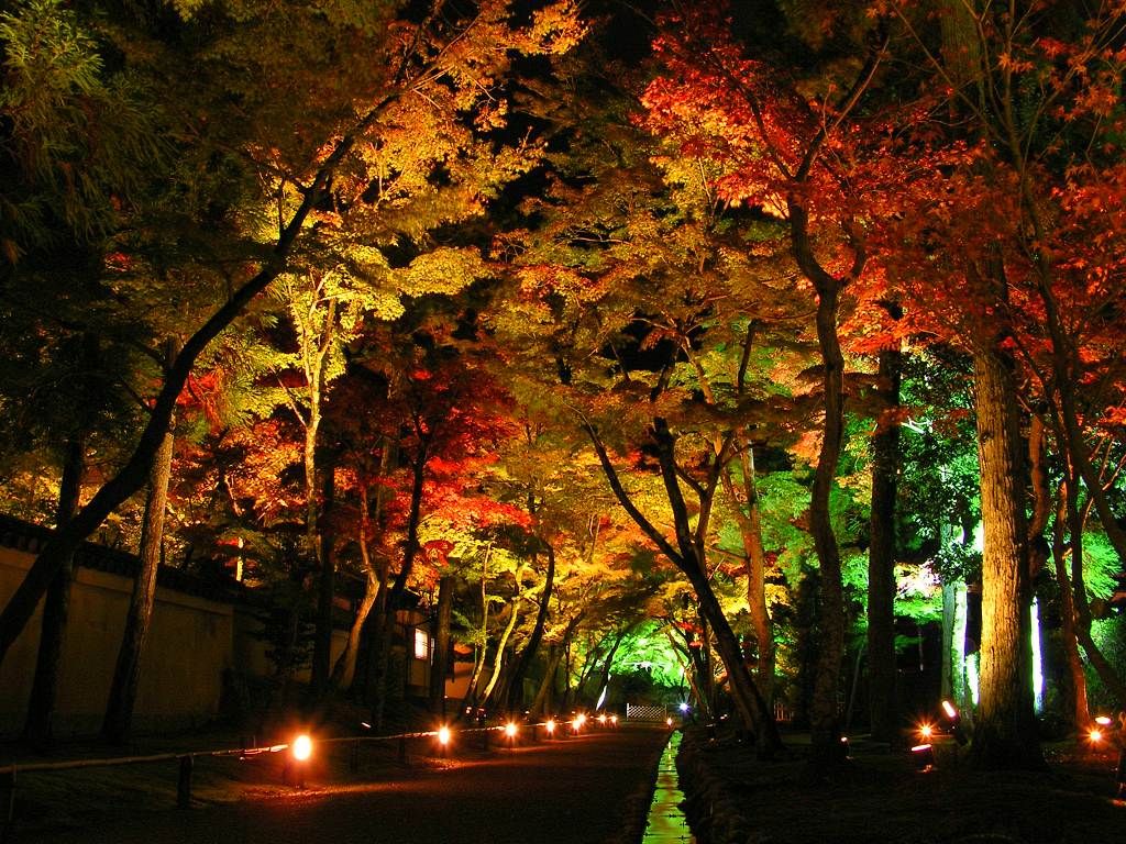 1698481121_Exterior-Led-Landscape-Lighting-Kits.jpg
