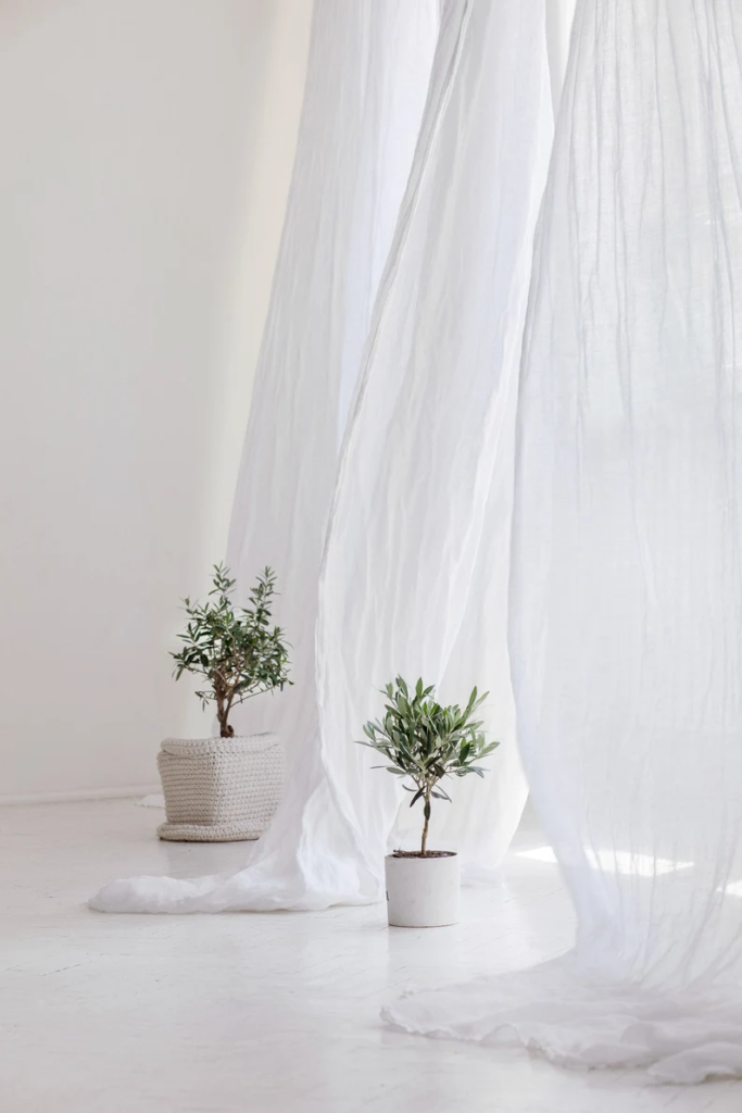 1698487252_Sheer-Curtains-Ideas.png