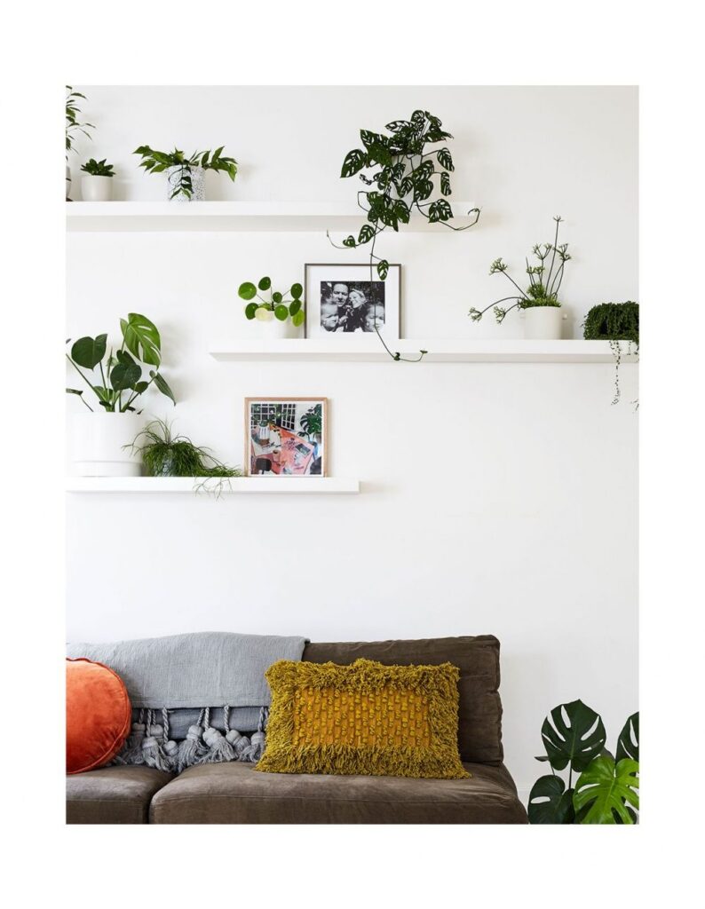 1698497717_White-Shelves.jpg