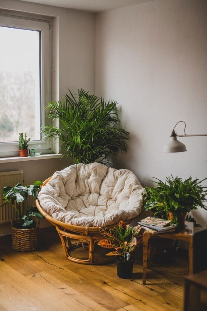 1698501798_Interior-Decoration.jpg