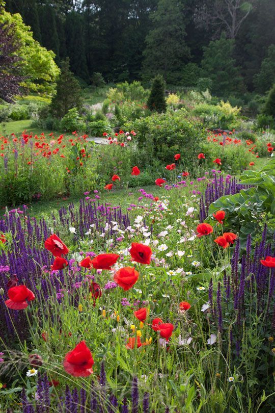 Garden Ideas Modern  Ideas That Will
  Inspire You