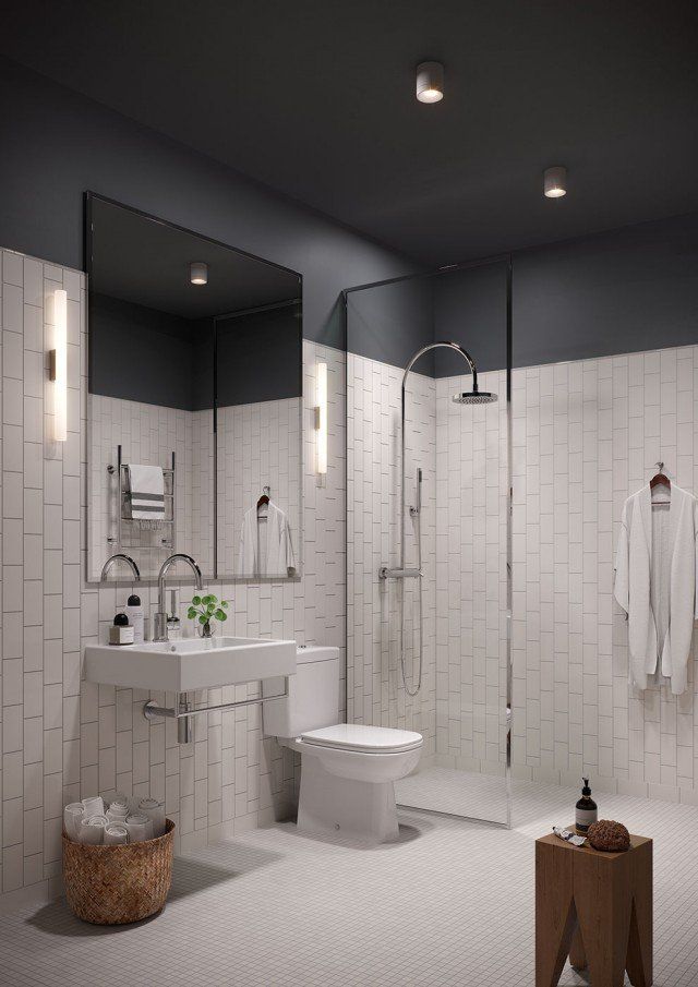 Bathroom Ceiling Lights  Ideas
  You’ll Love