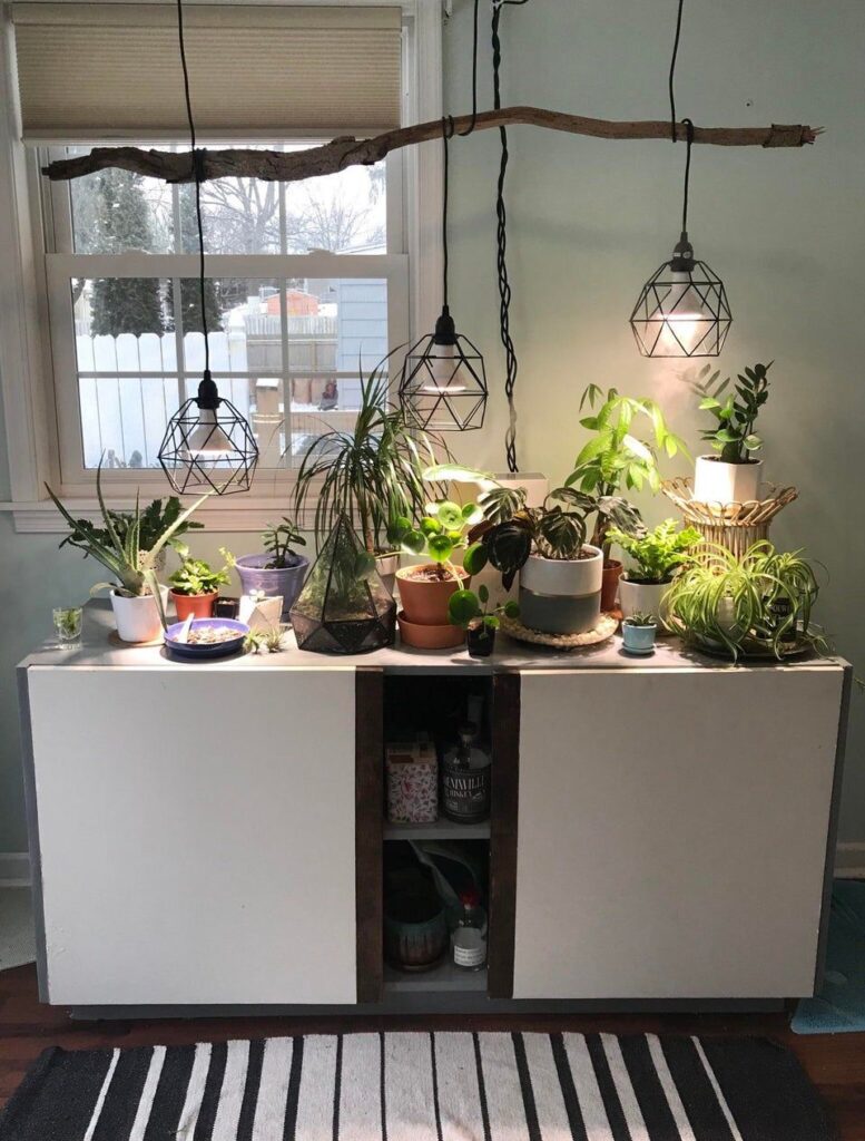 Full-Spectrum-Light-Bulbs.jpg