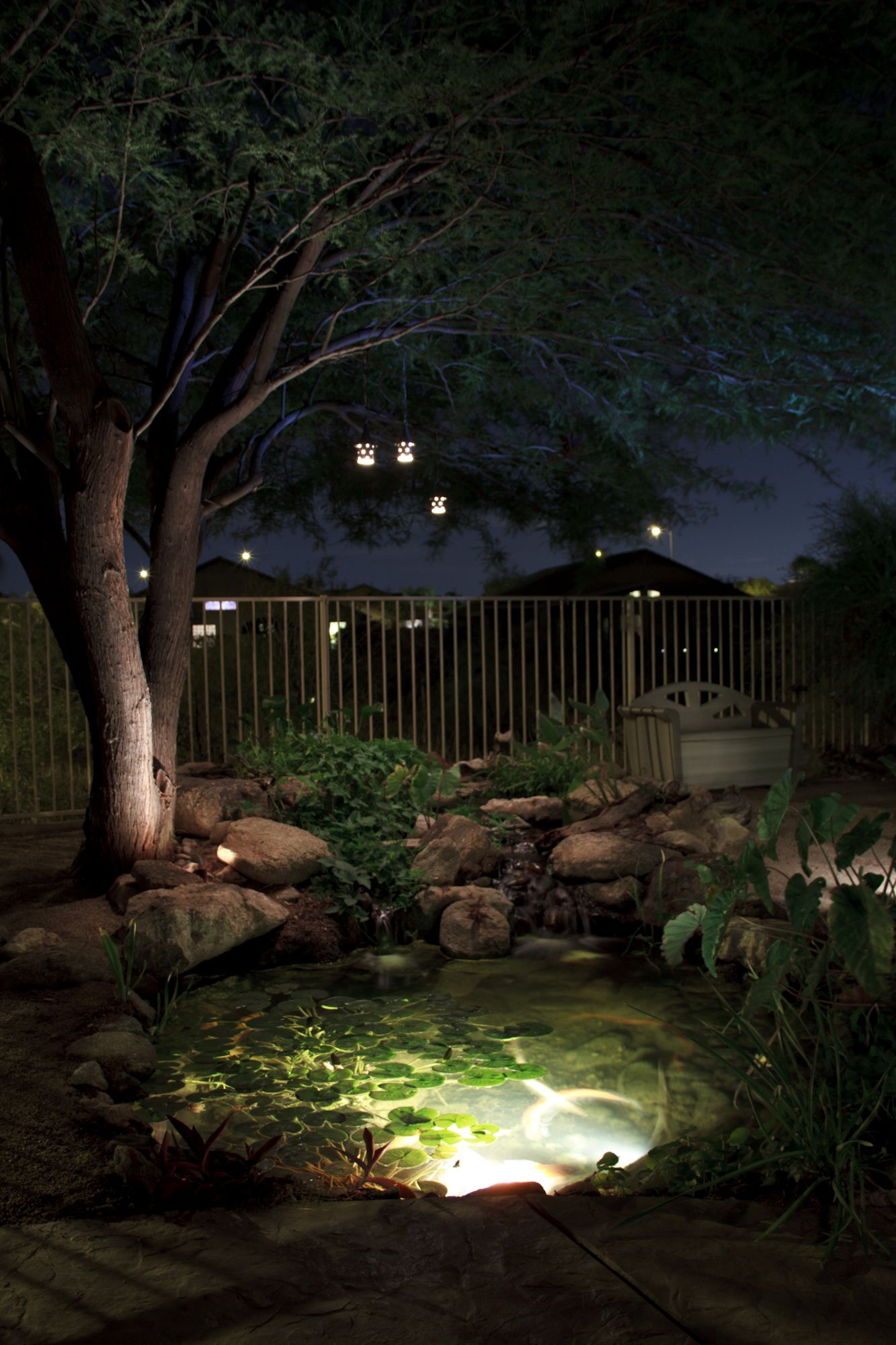 Pond lighting – light and water, a
  magical combination