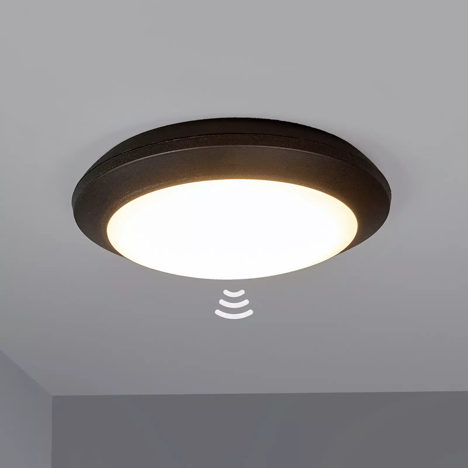 Wall lights with motion detector