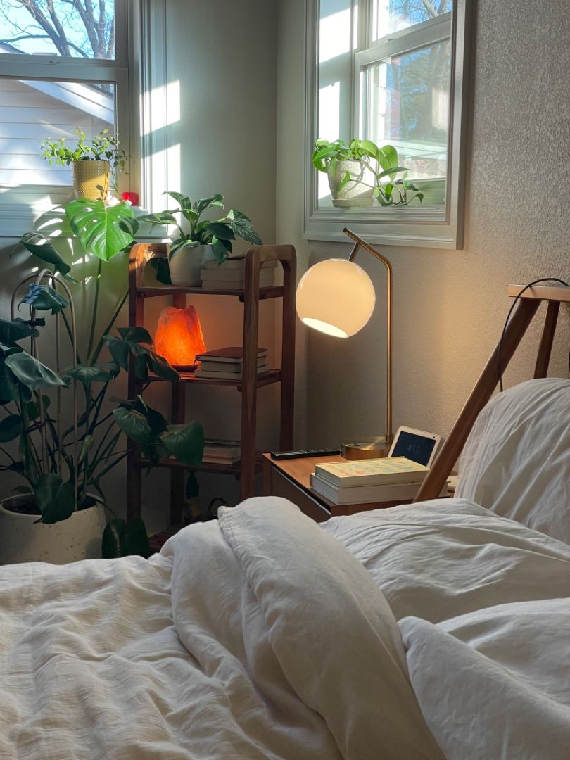 Why plants in the apartment – 
  indoor plants for apartments